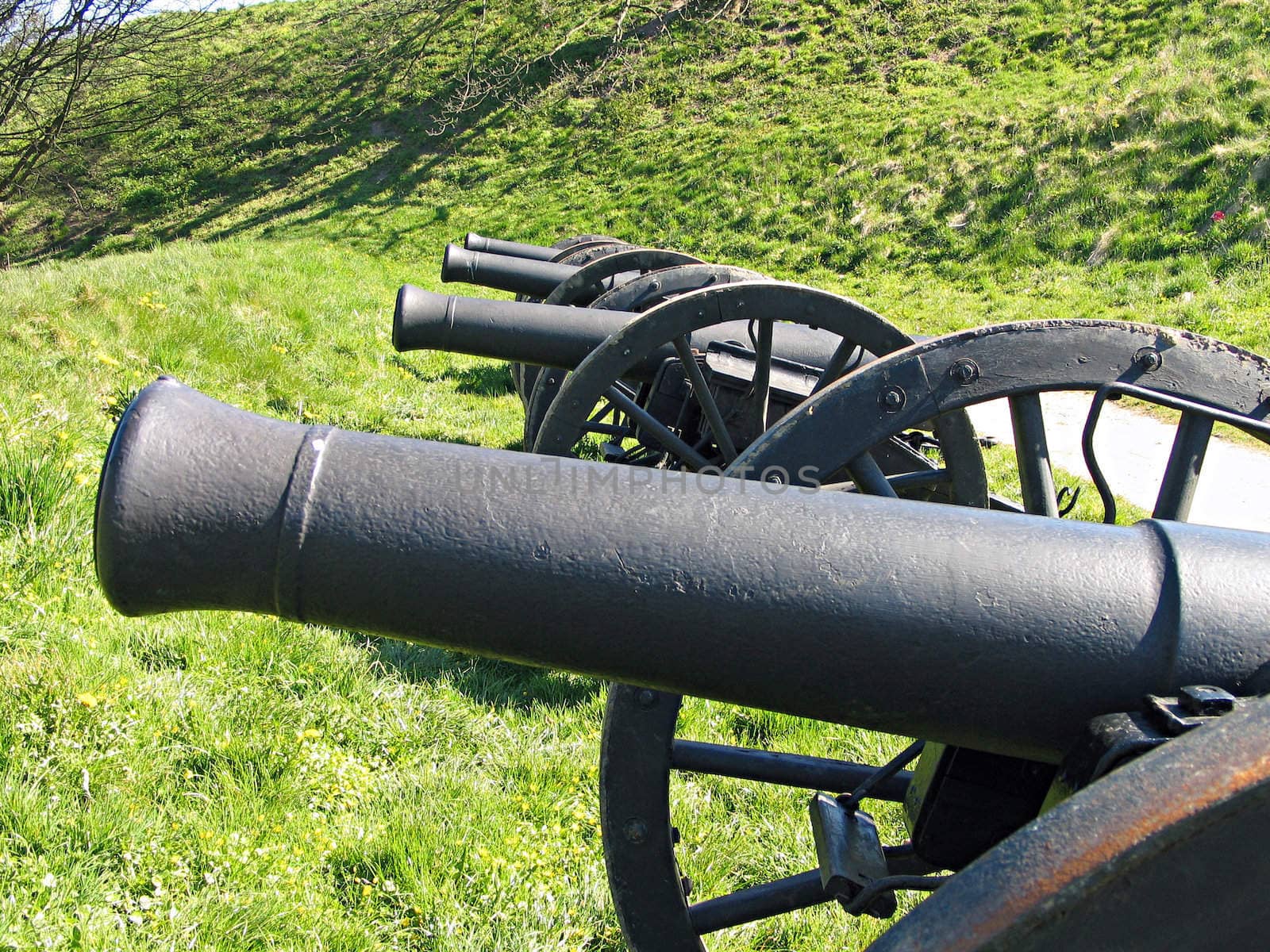 Old Medieval cannon by the city walls of  Fredericia Denmark	

