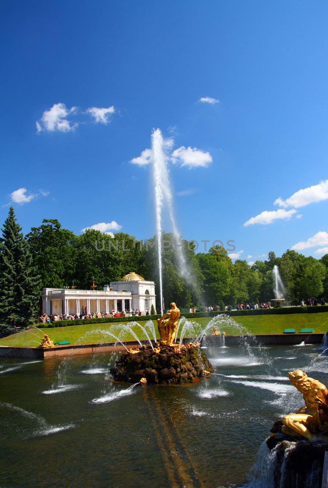 Samson fountain in petergof park Saint Petersburg Russia