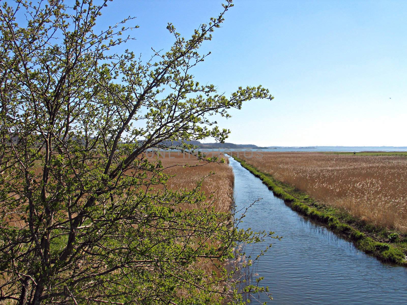 Small river stream between fields flows into the sea