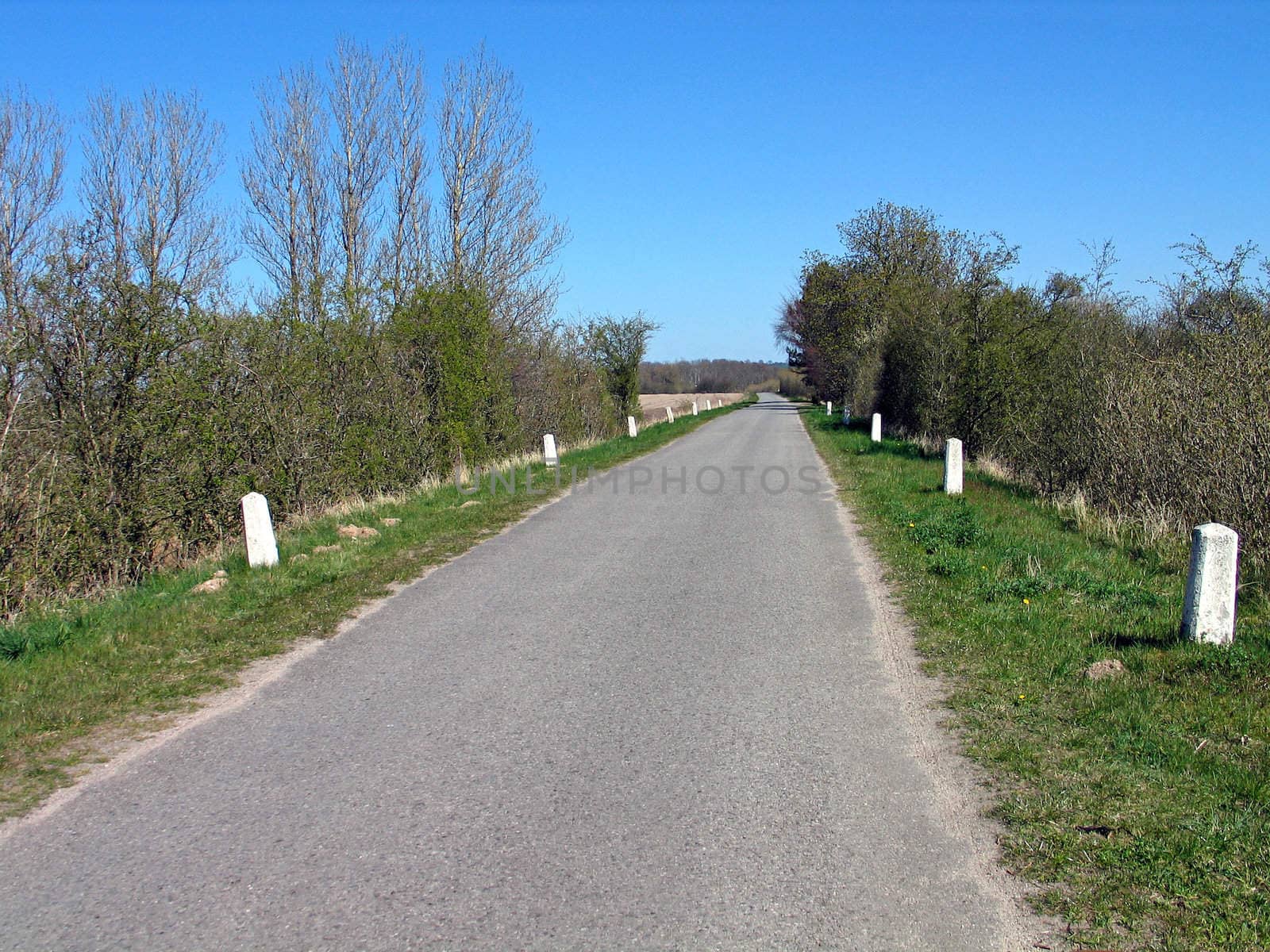 Empty road in the country 