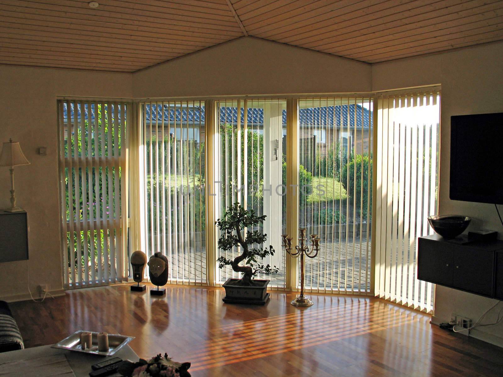 Modern Family Living room with a big window