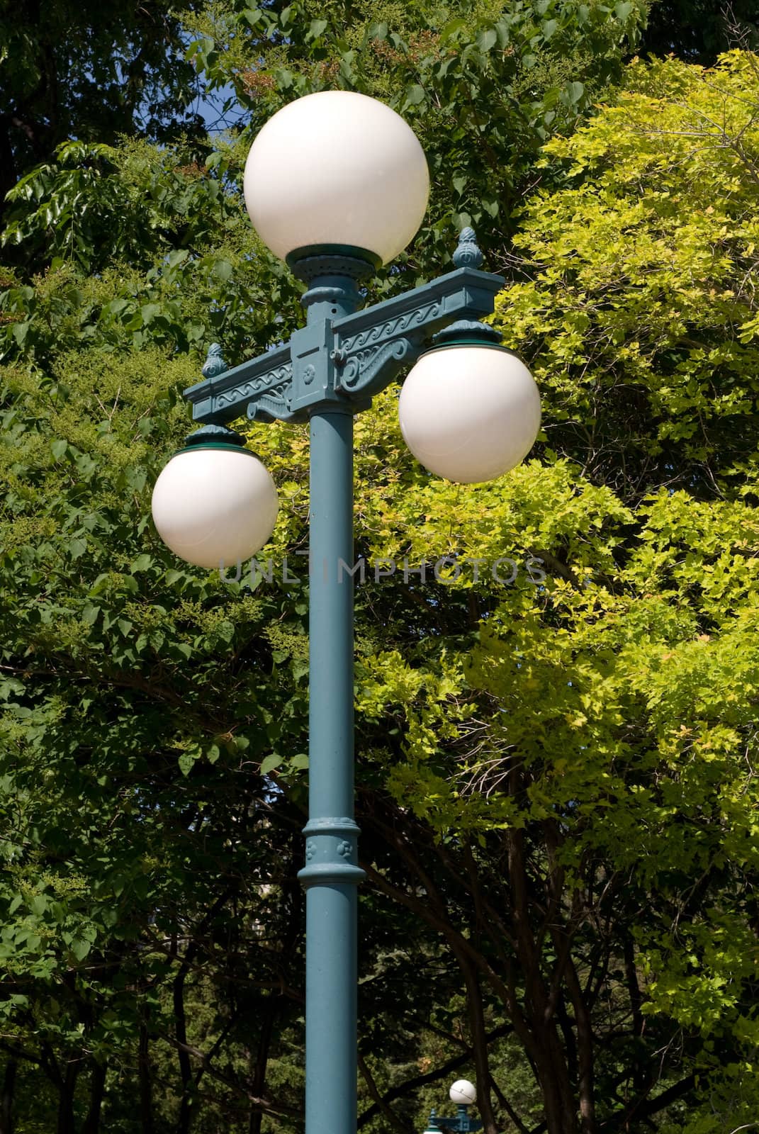 A lamp post with three lights on it shot against a green tree