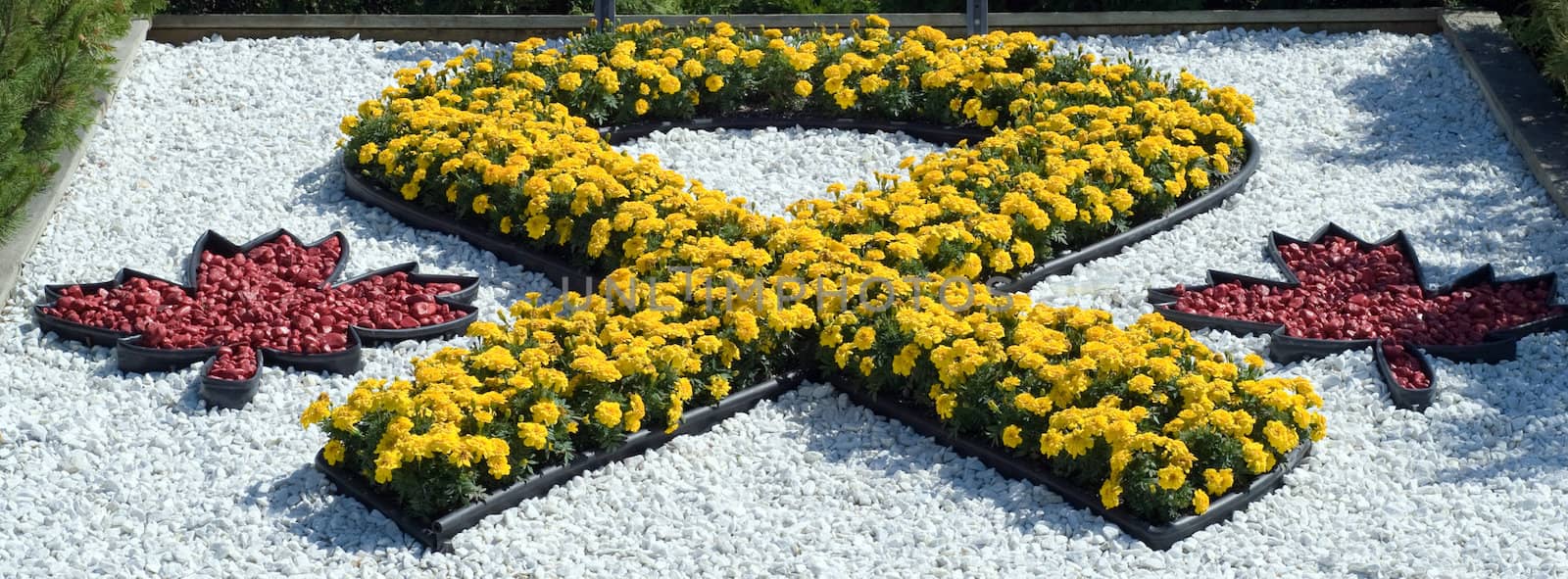 A yellow ribbon made of flowers on some white rocks
