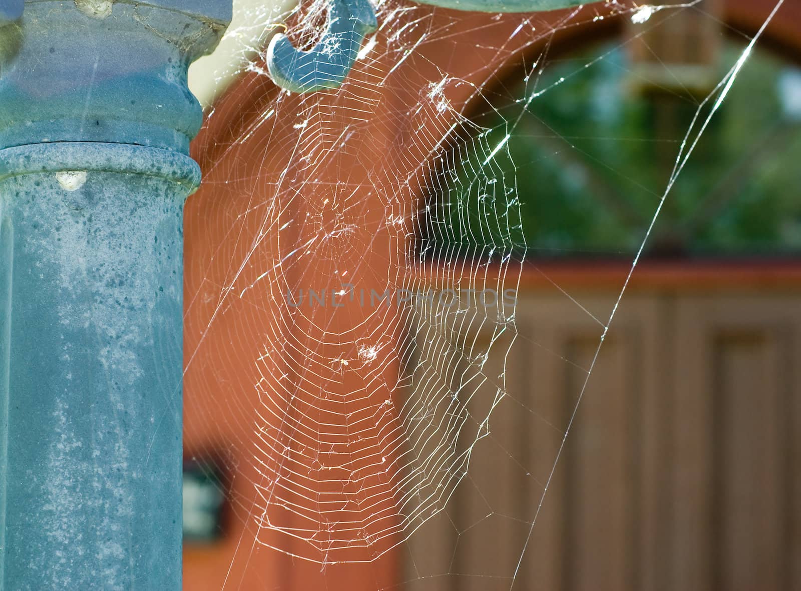 A spiders cobweb hanging from a lamp pole