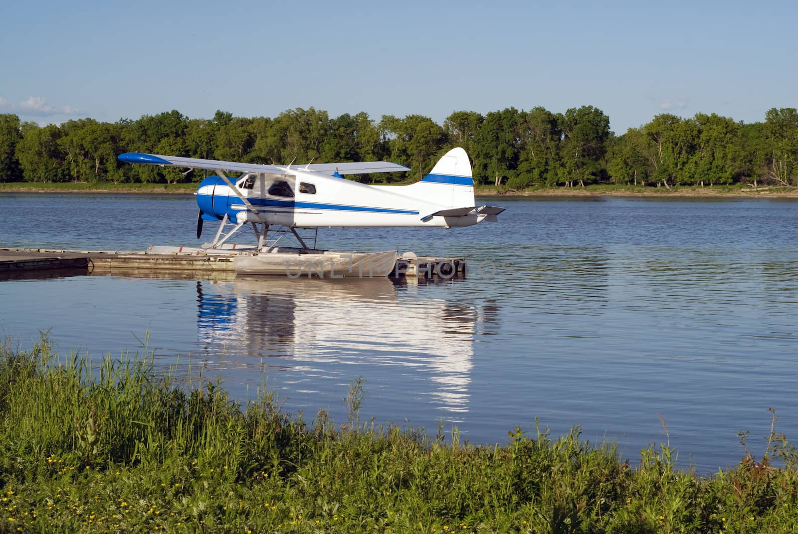 A small water plane tied to the dock on a river