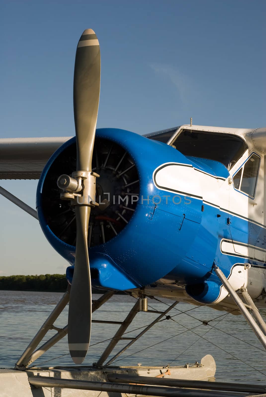 A small blue and white plane with a single propeller