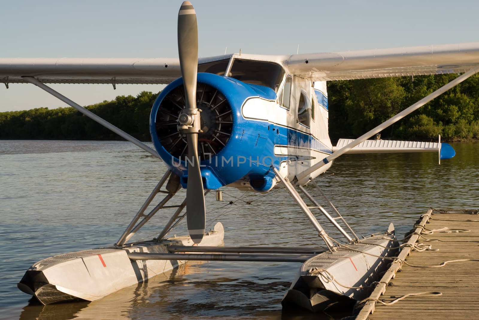 Front view of a small water plane floating on the river