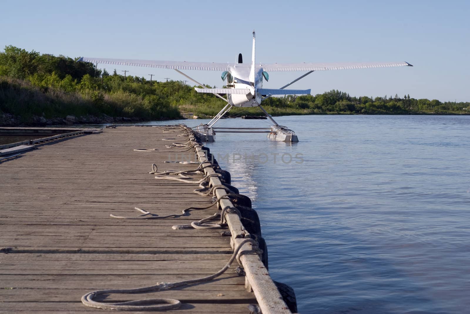 A plane floating on the water tied to a dock