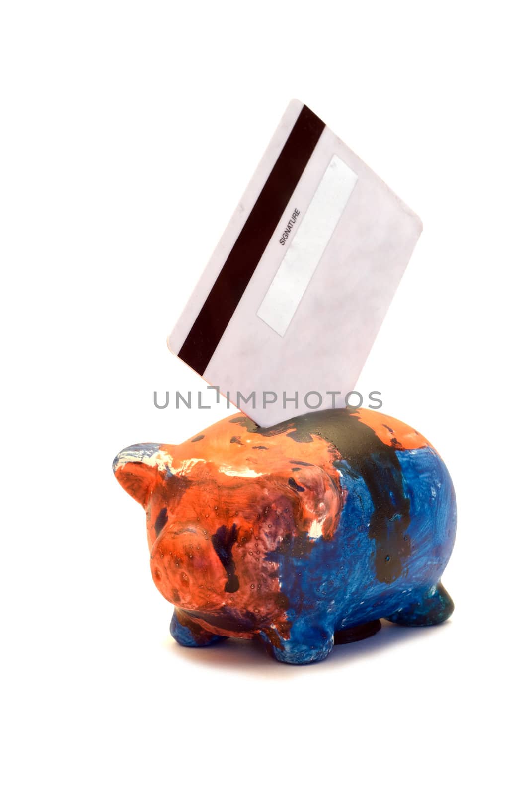 A debit card sitting in a piggy bank, isolated on a white background