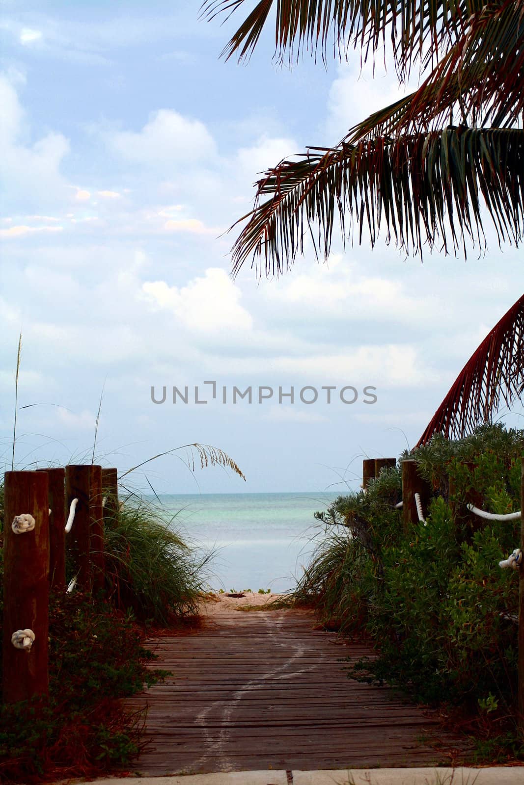 A boardwalk to the beach flanked by nautical line.