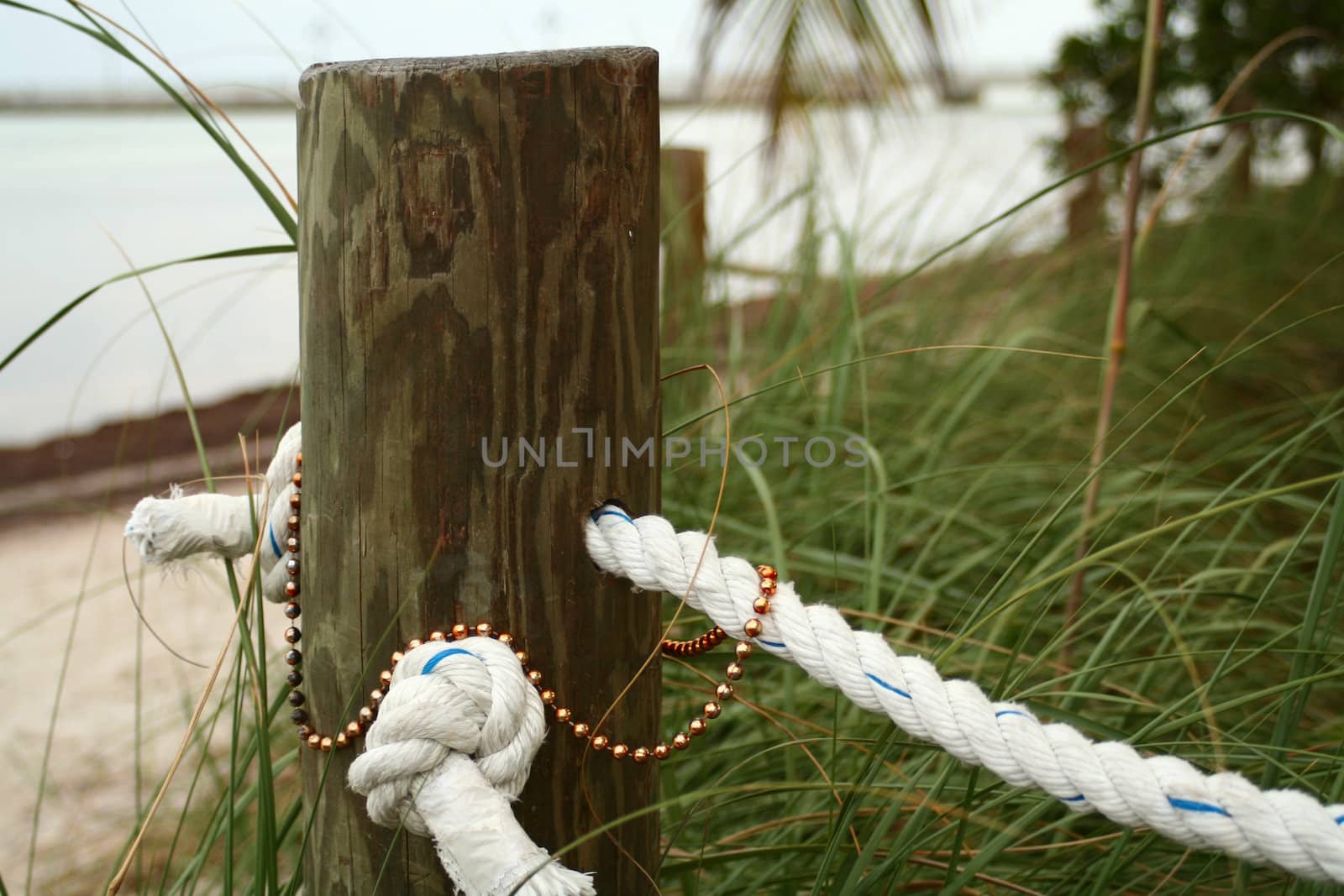 A wooden pole with festival beads left on it.