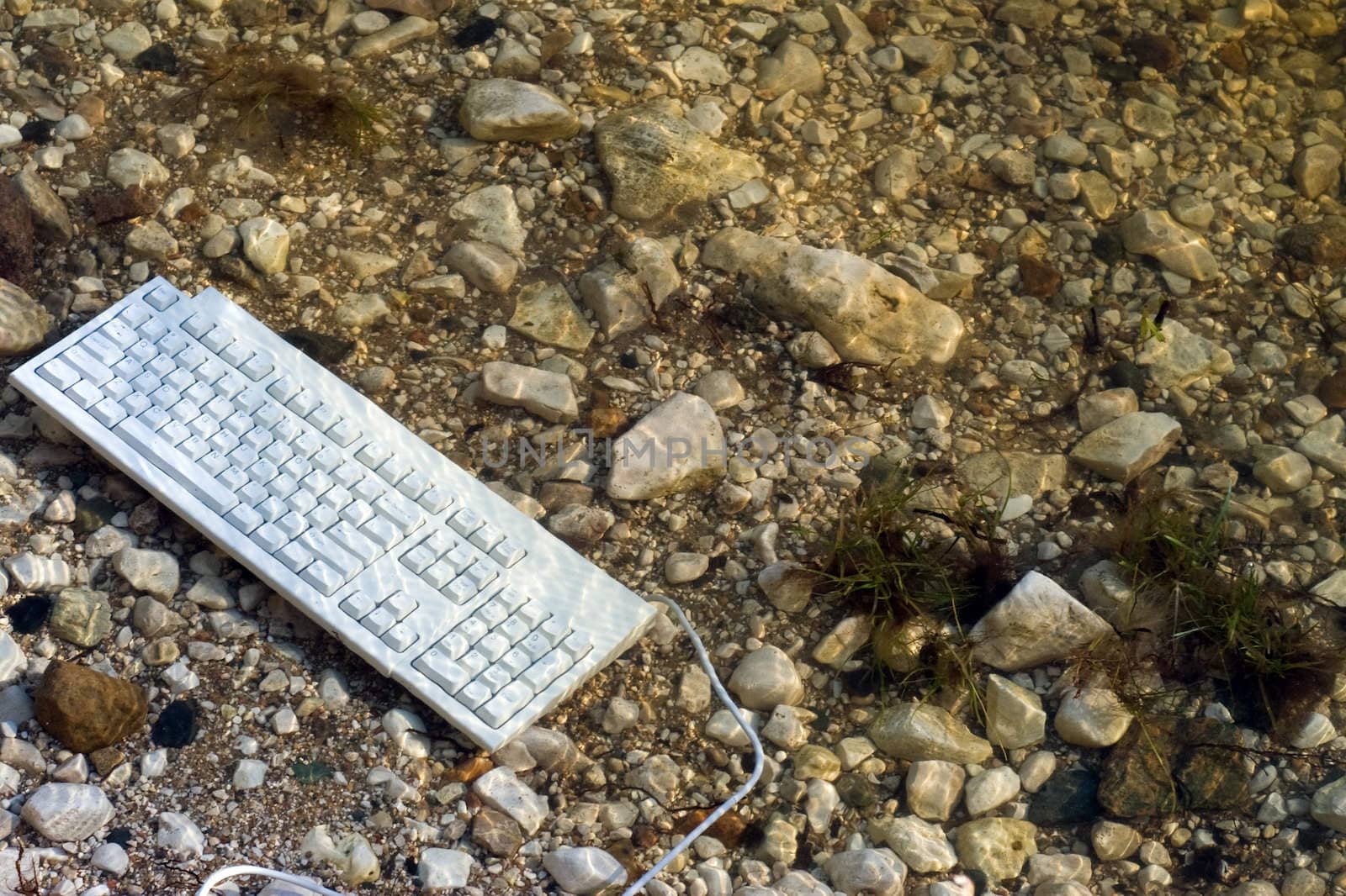 A keyboard that was thrown in the water on some rocks