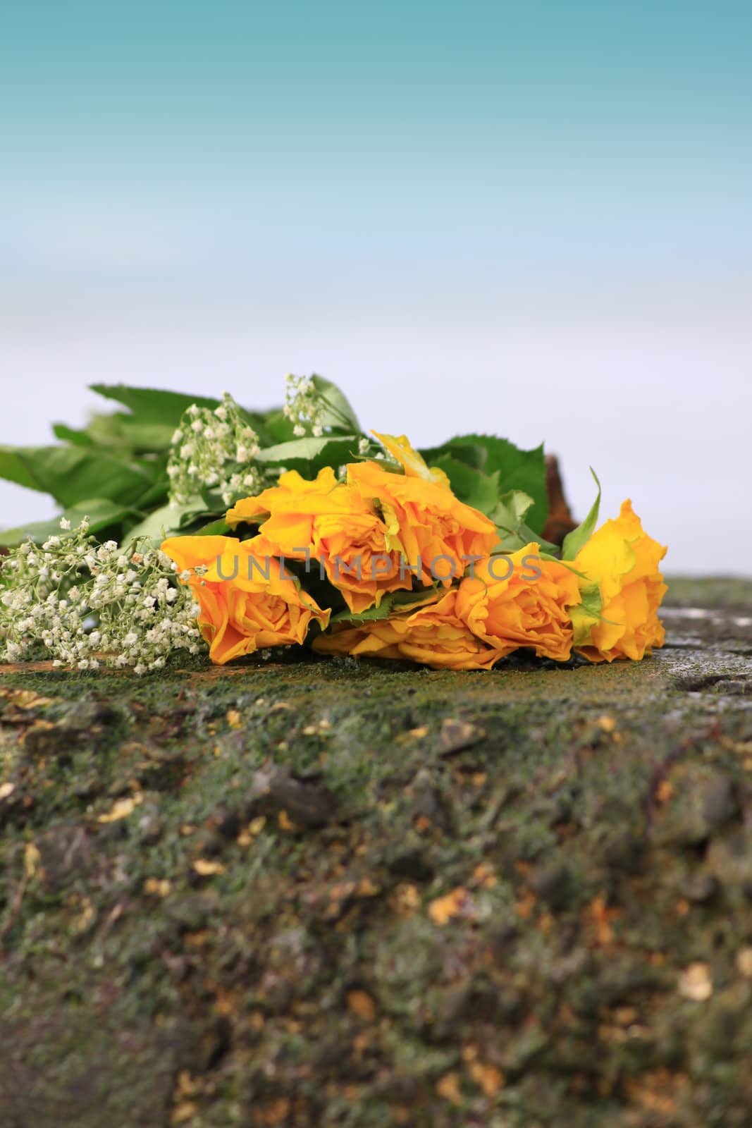 A bunch of withering yellow roses and green foliage set on top of a concrete wall.