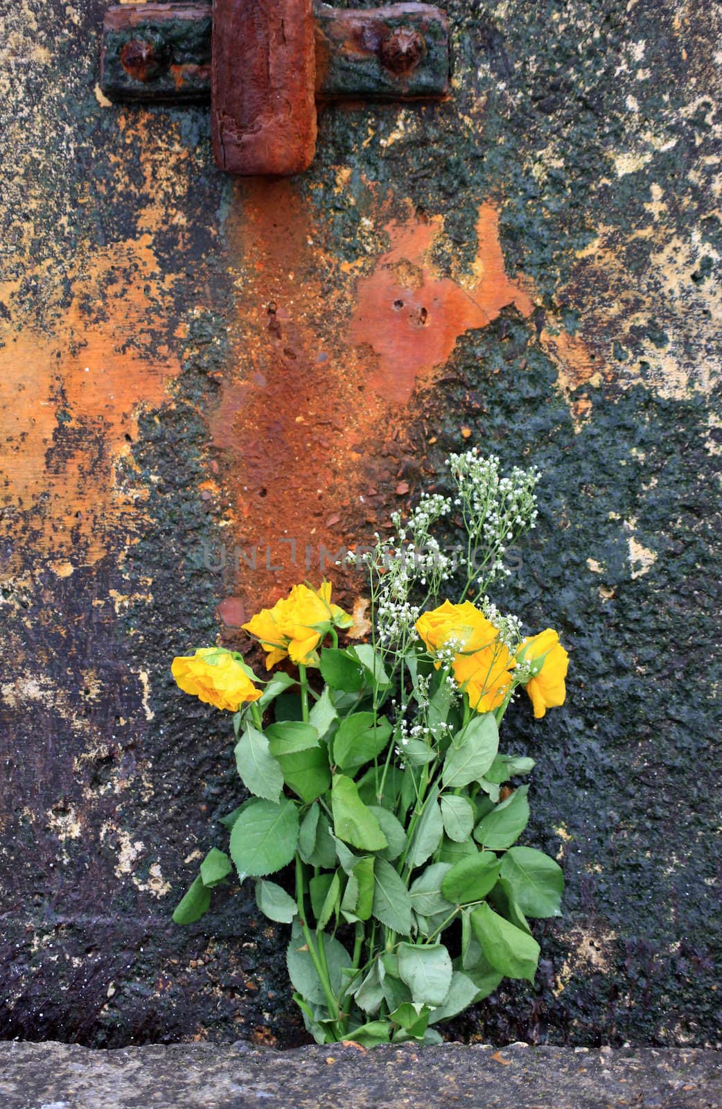 A withering bunch of yellow roses leaning up agains a concrete wall, with rusty residue staining the back of the wall. Laid in memory of someone.