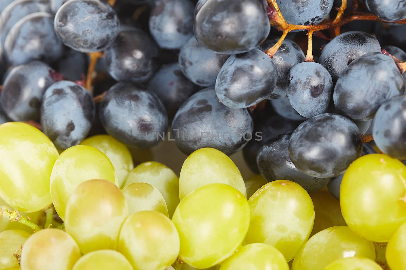 Grapes are two different kinds of close-up