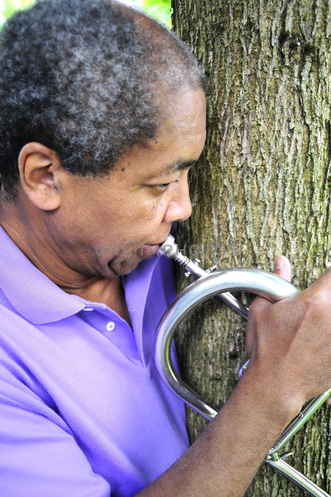 Jazz musician playing his instrument in the woods.