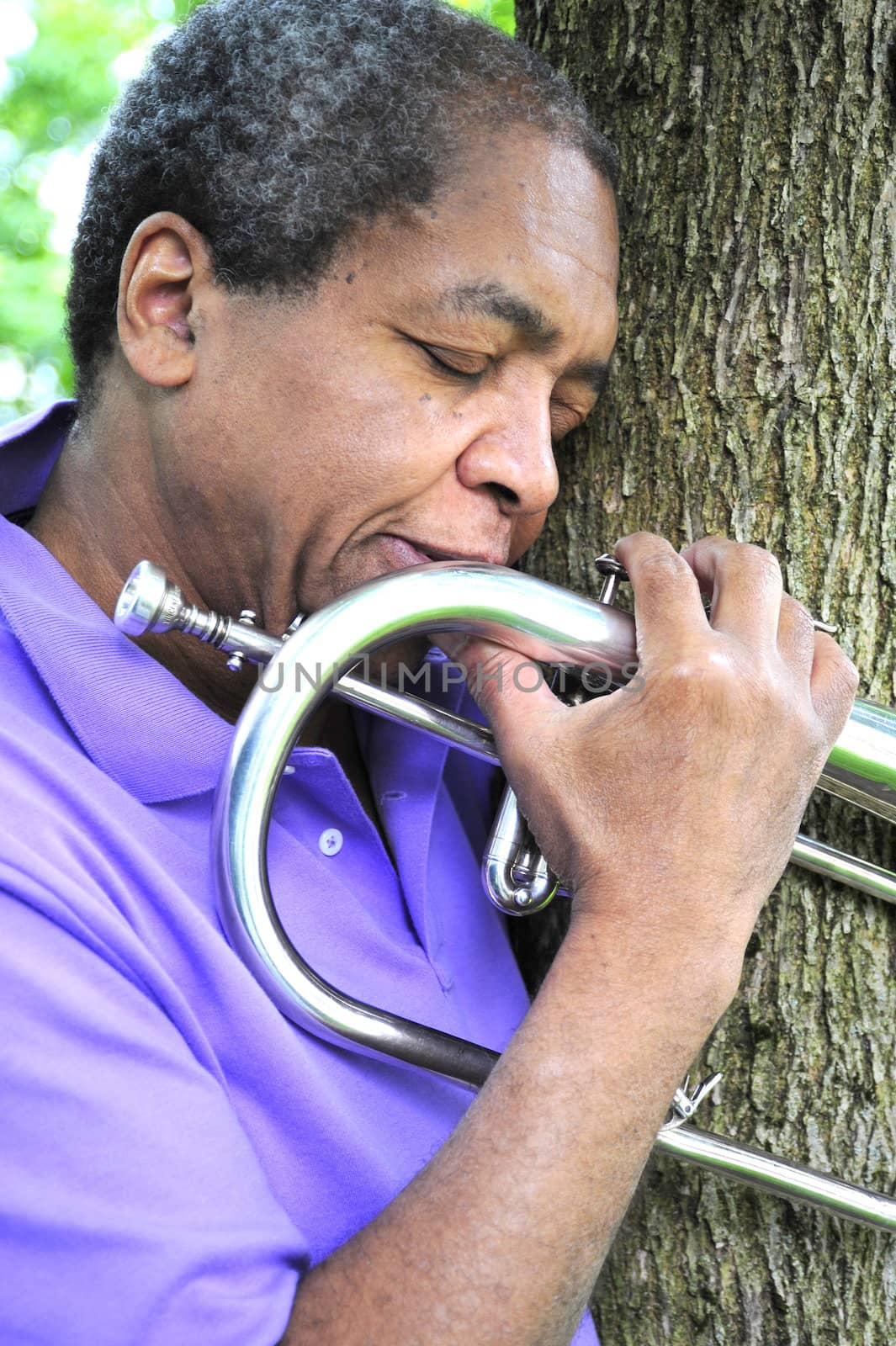 Jazz musician isolated in the woods.