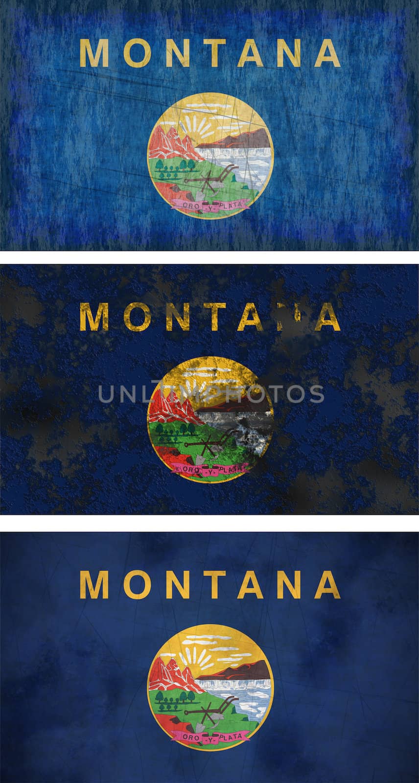 Great Image of the Flag of Montana