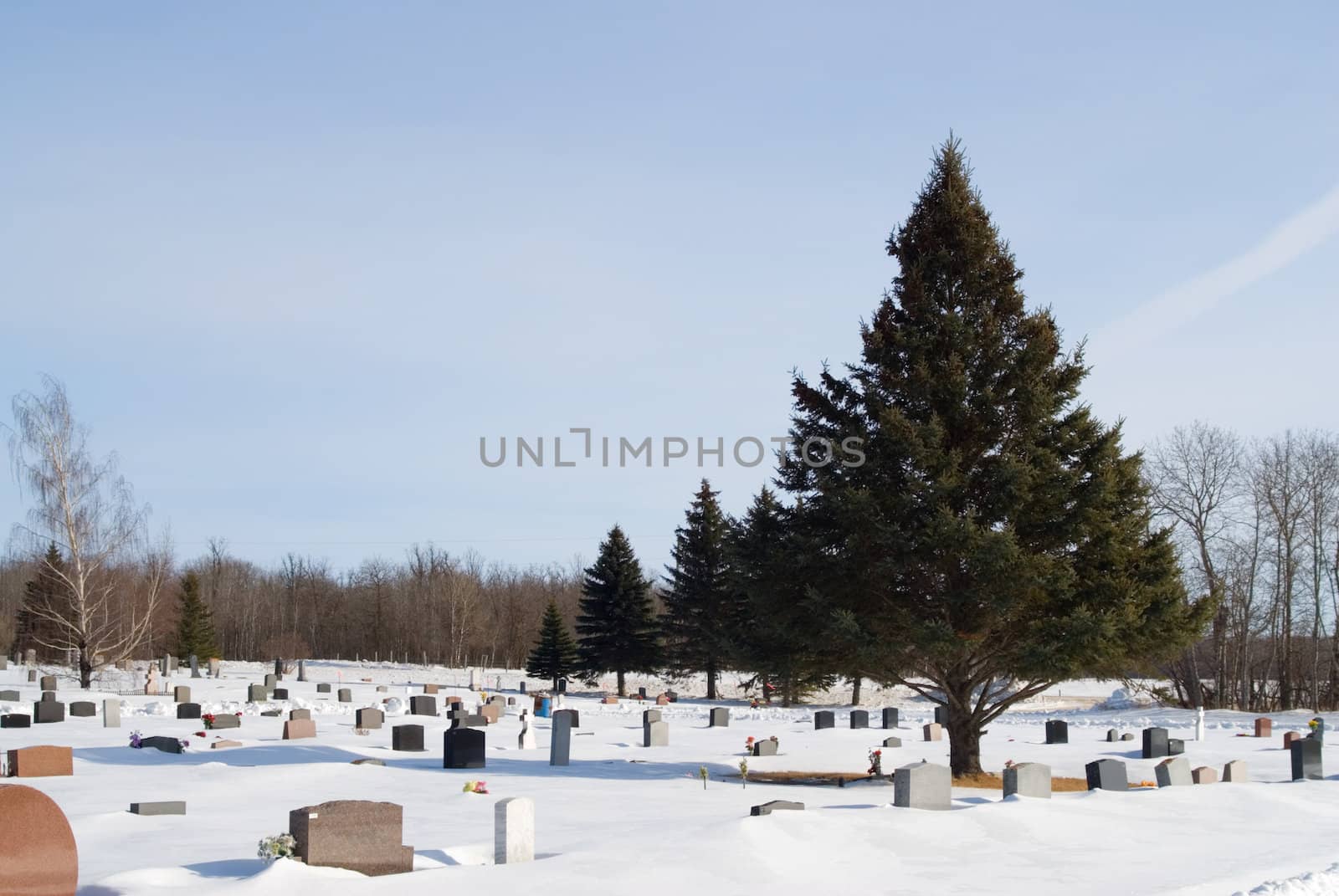 A haunted cemetery in the middle of winter