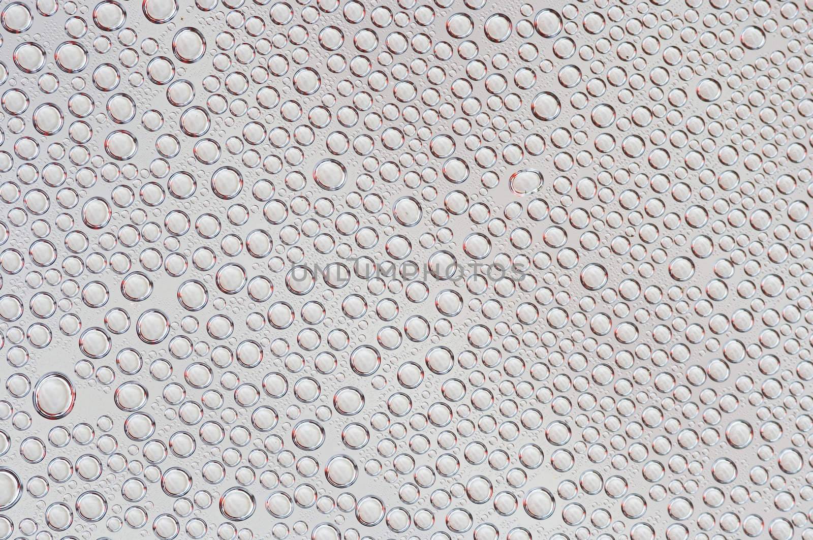 Abstract macro - close-up of the blebs