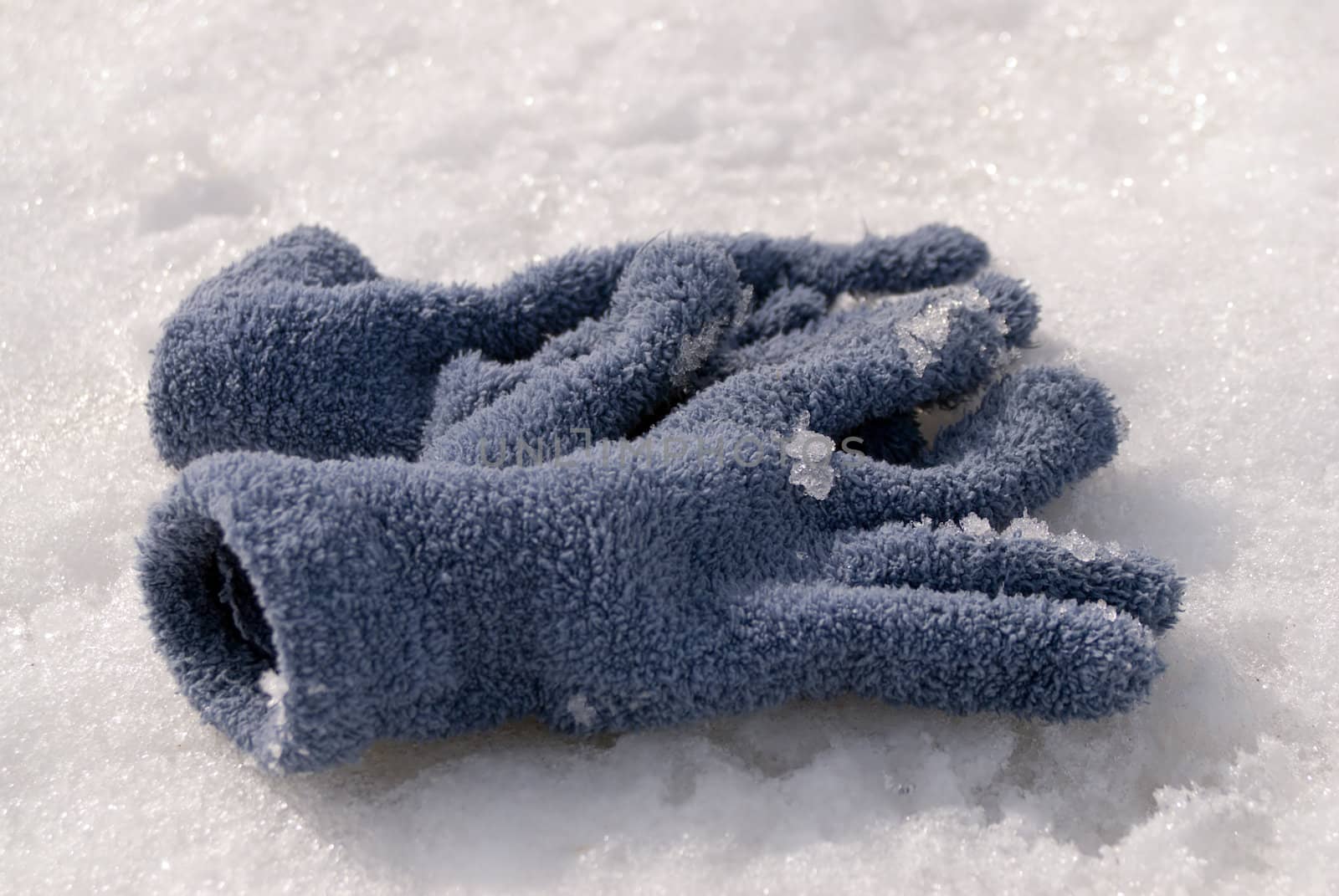 A pair of winter gloves lying in the snow