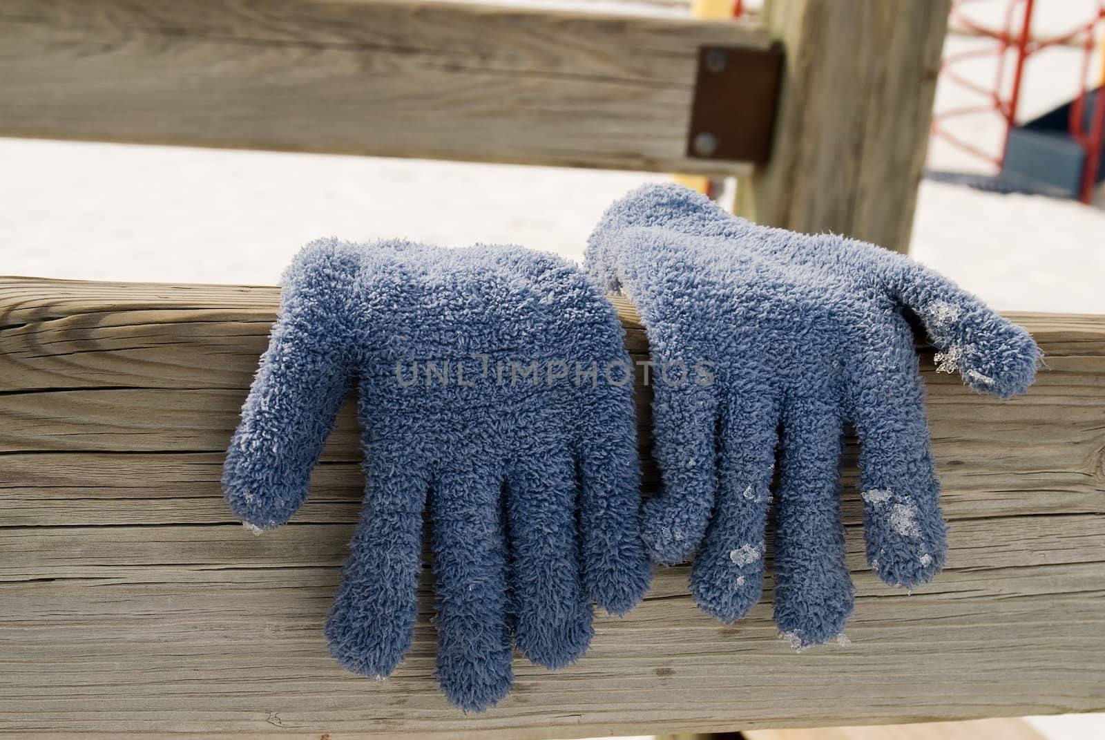 A pair of blue gloves hanging in the sun to dry