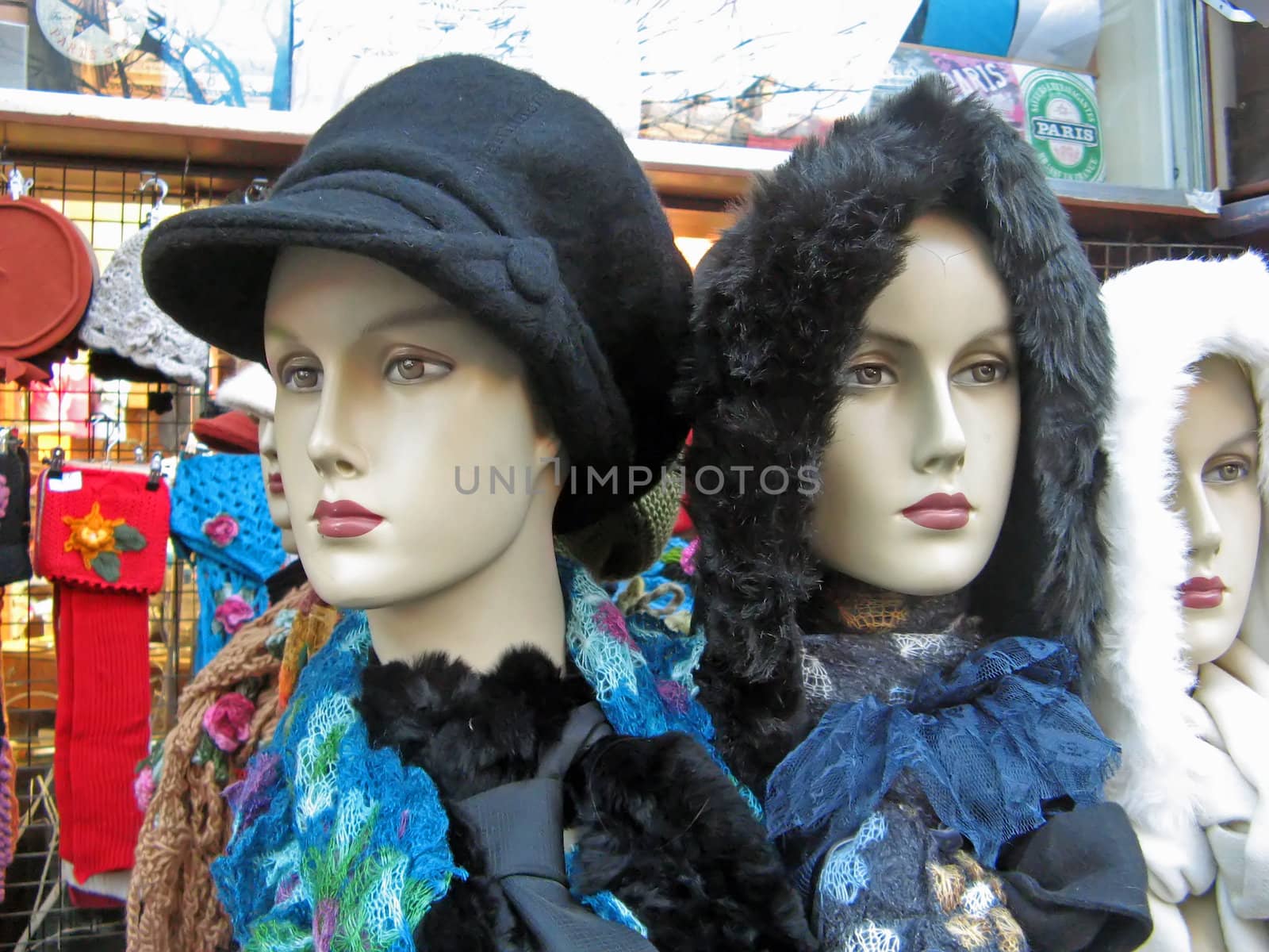 two model heads in a clothes shop