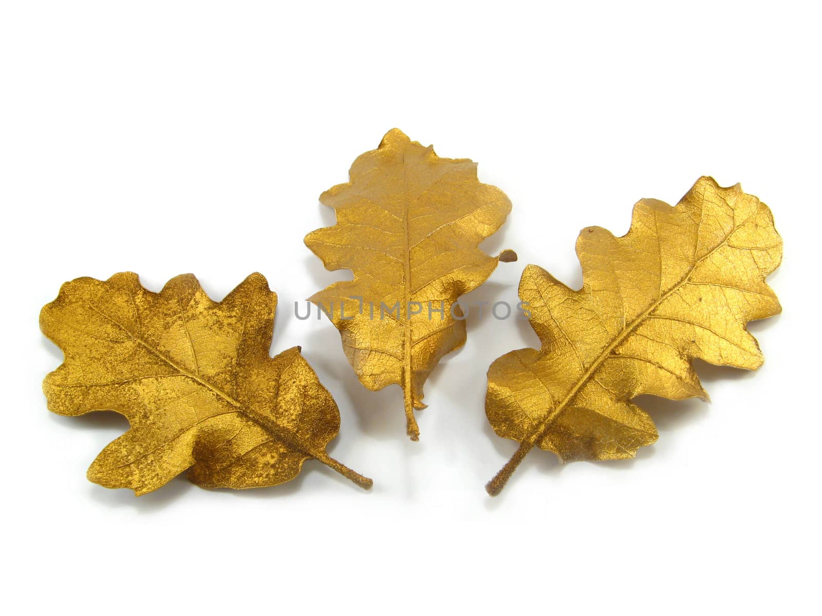 some golden leaves over a white background