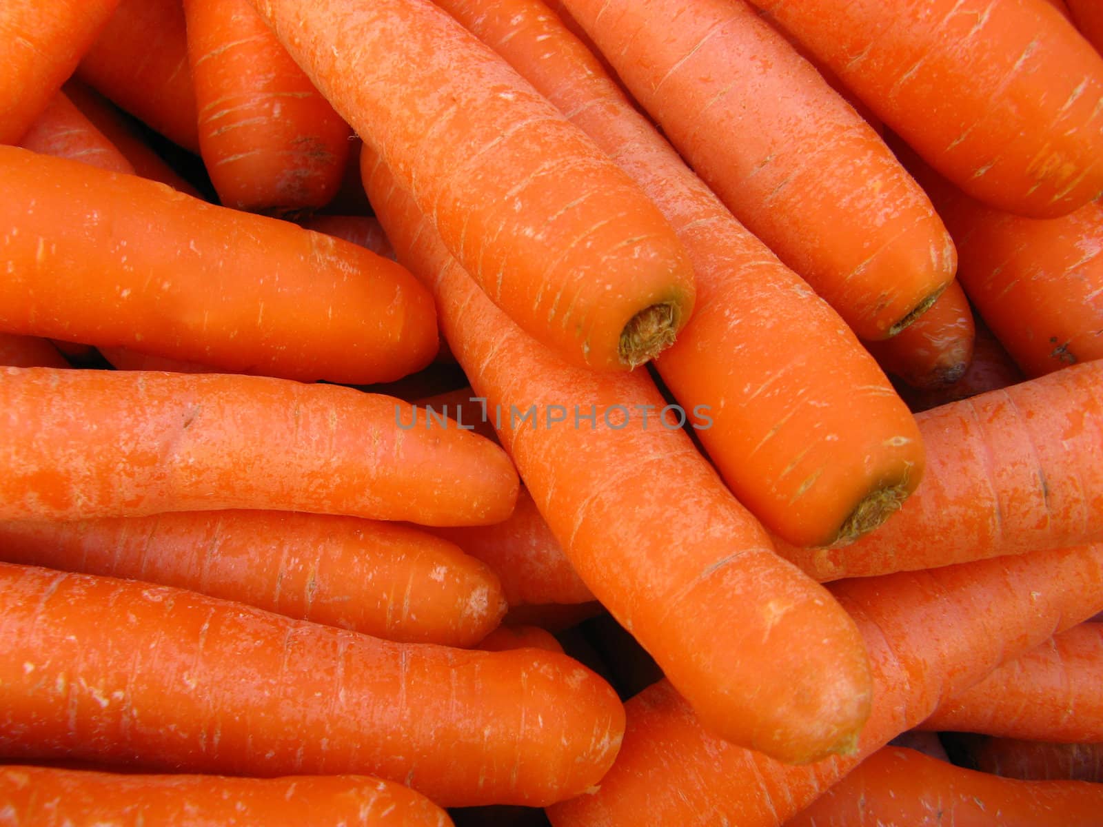 a bunch of carrots at the market