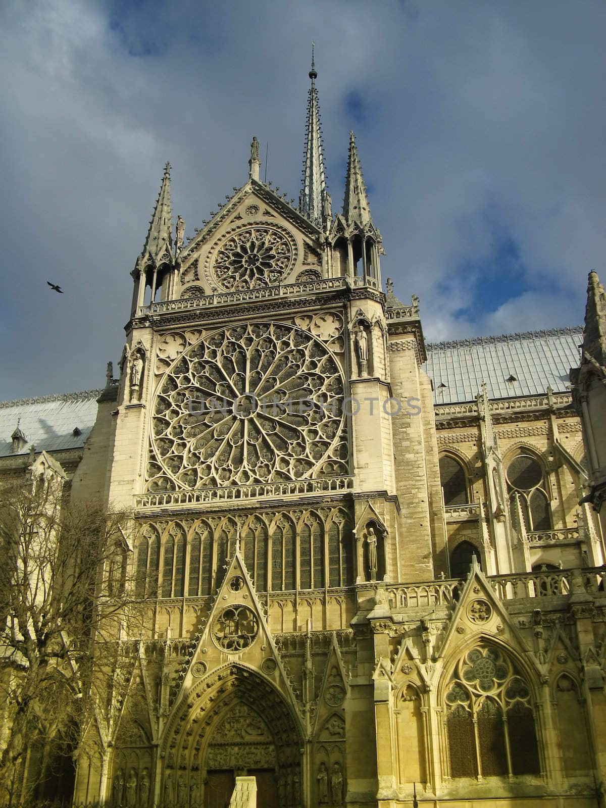 Ledt side entrance of the Notre-Dame Cathedral in Paris
