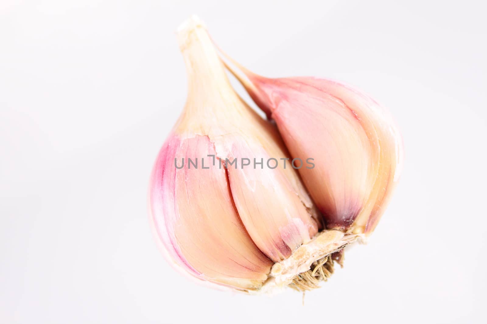 Garlick bulb removed close up on a white background without isolation