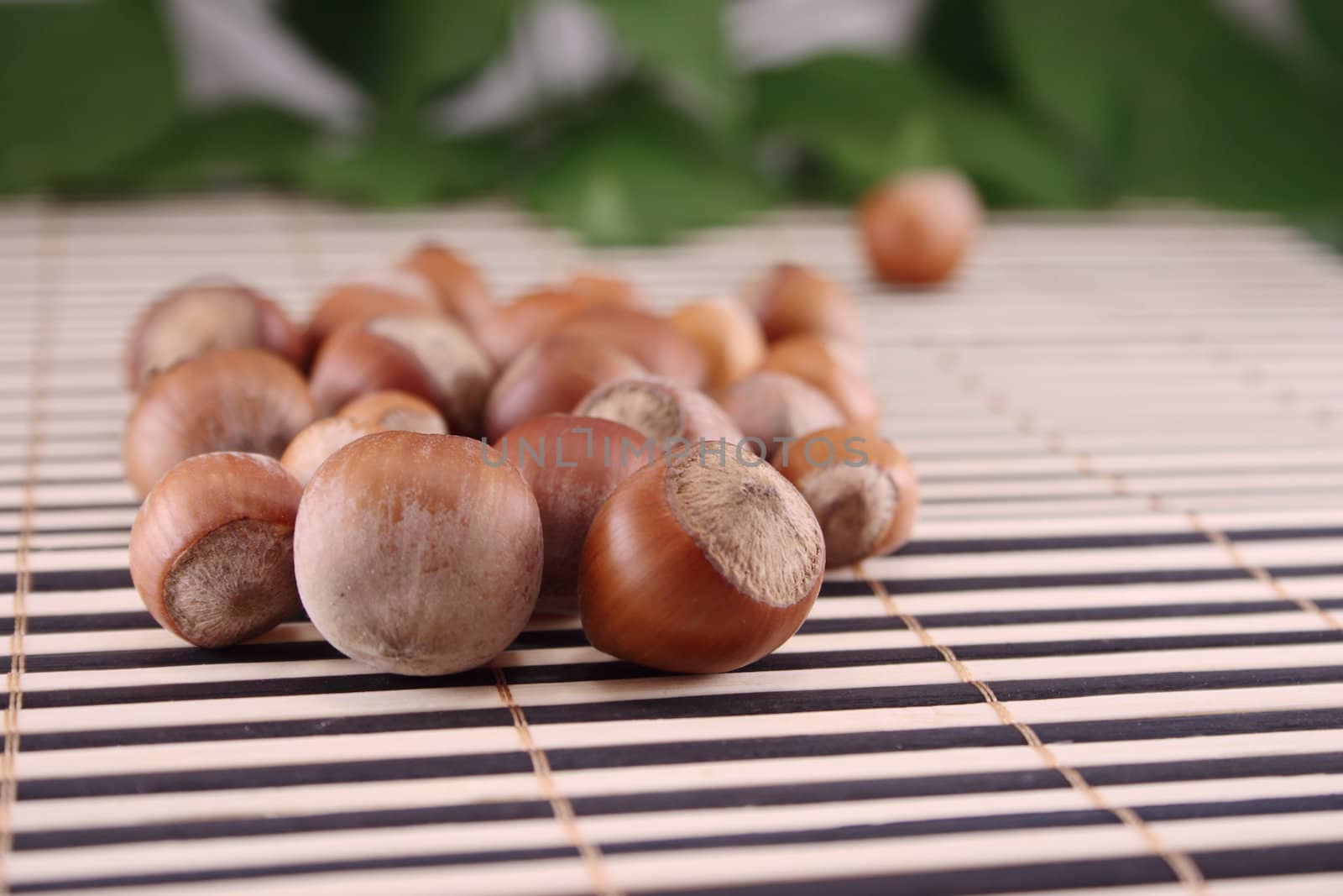 Wood nuts removed on a wooden napkin