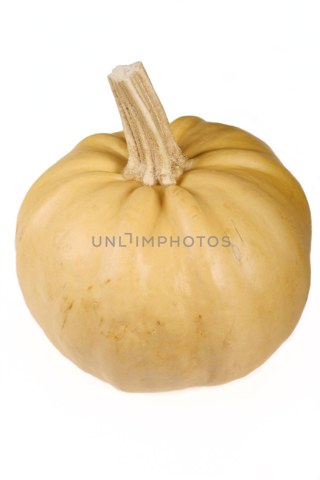 Pumpkin removed close up on a white background without isolation