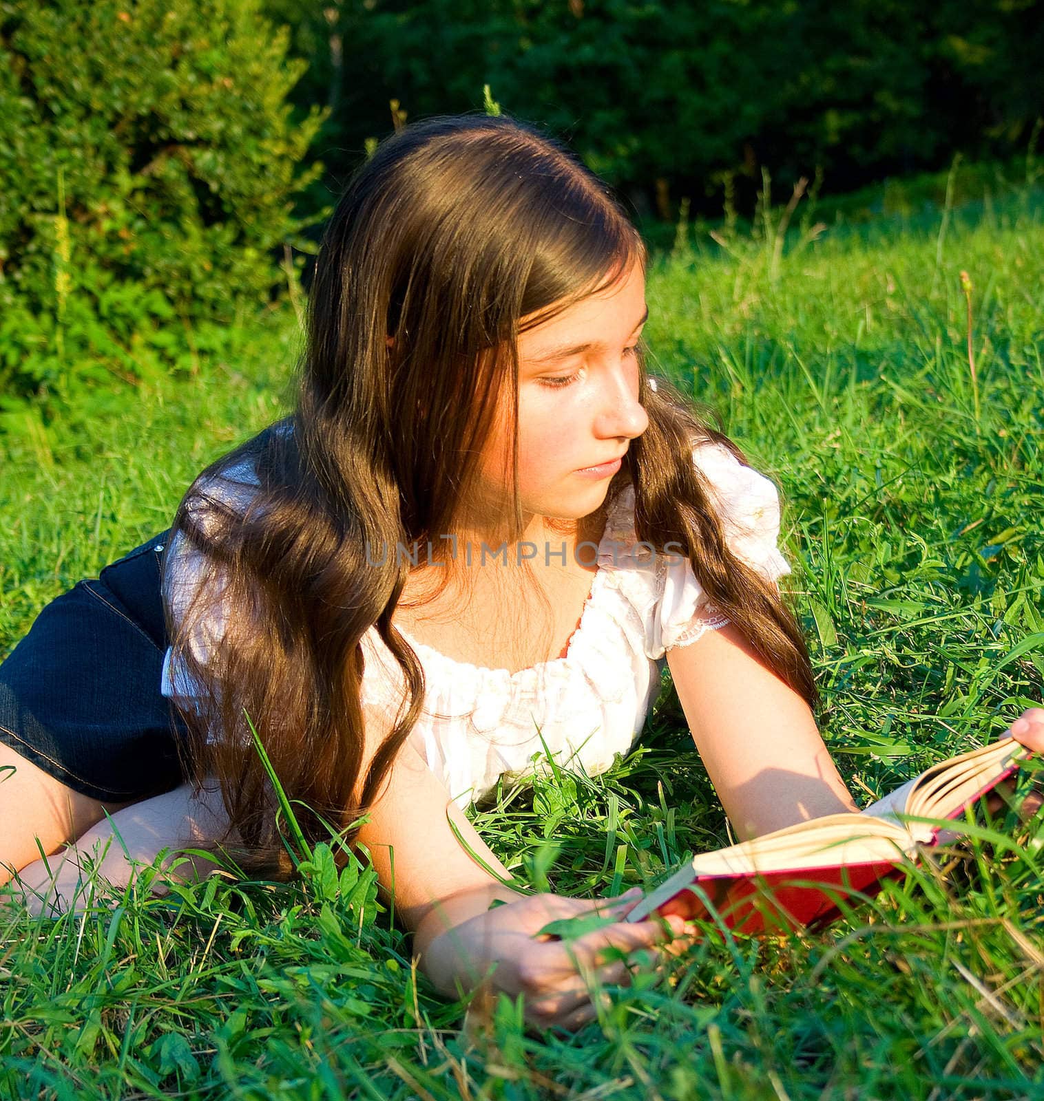 The young girl reads the book, laying on a grass