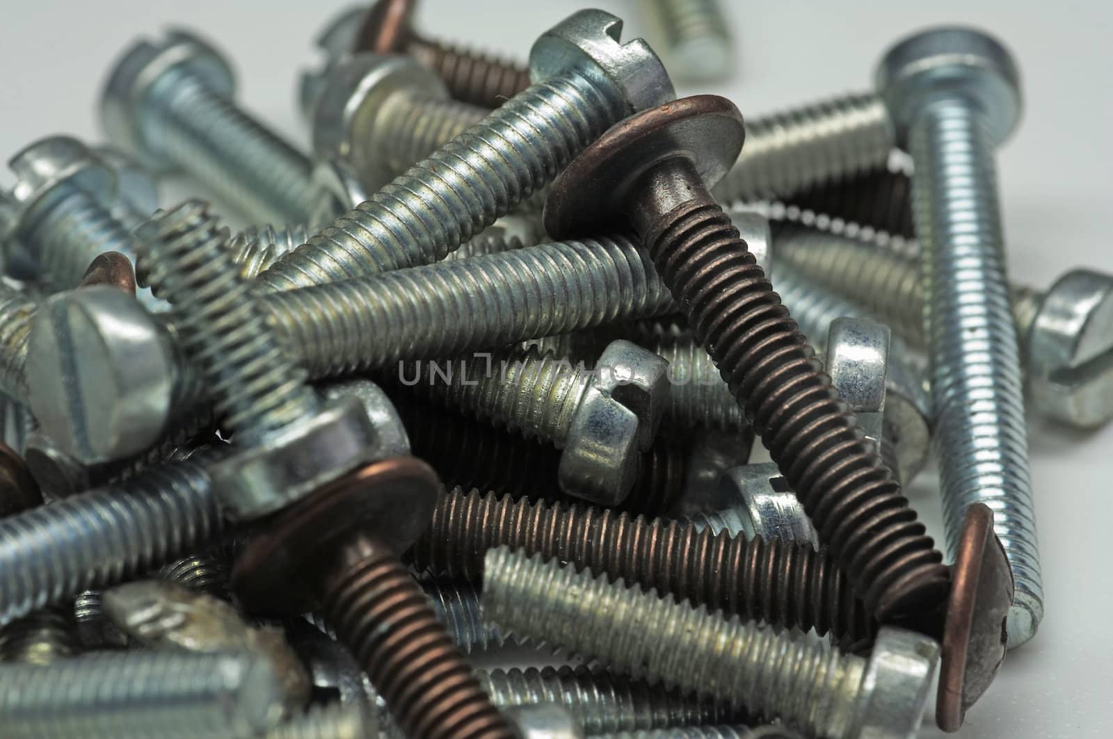 screws by Bullysoft