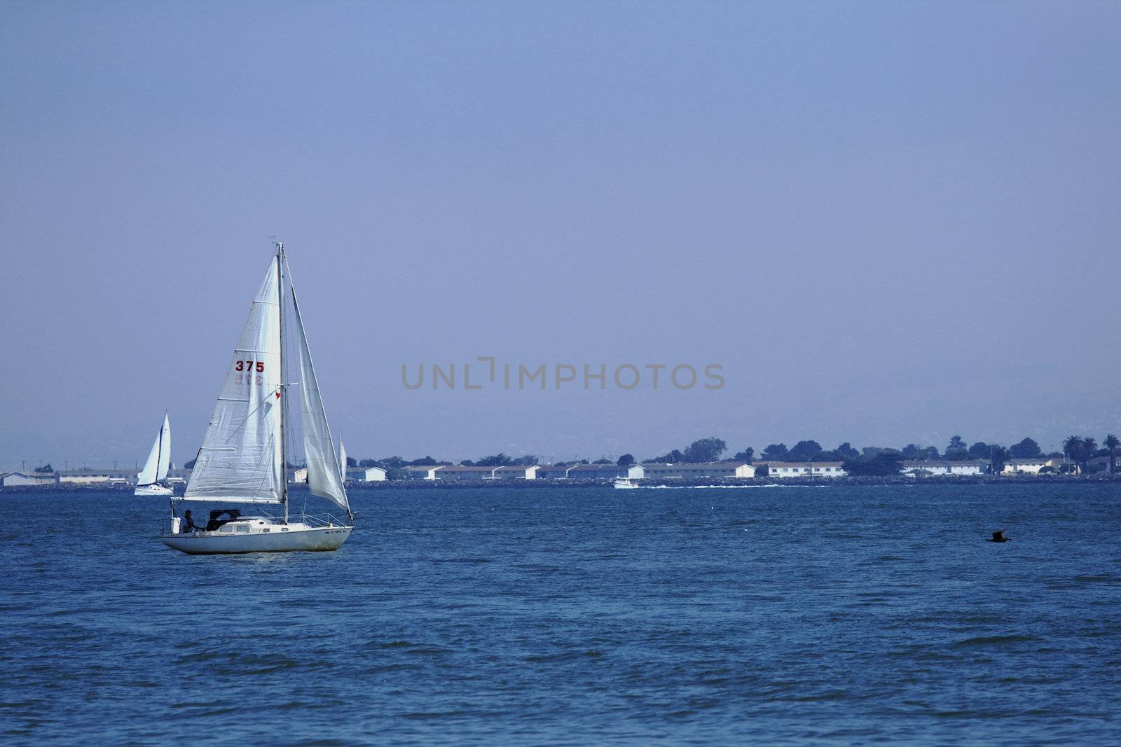 Sailboat in the San Francisco Bay with blue sky