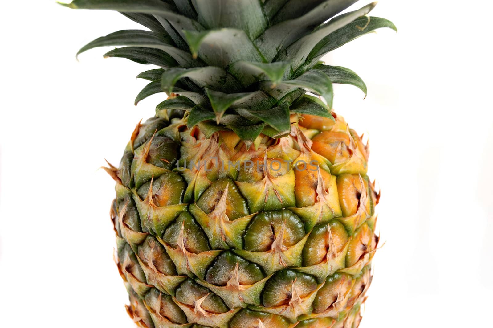 closeup of fruit pineapple, ananas isolated over white background