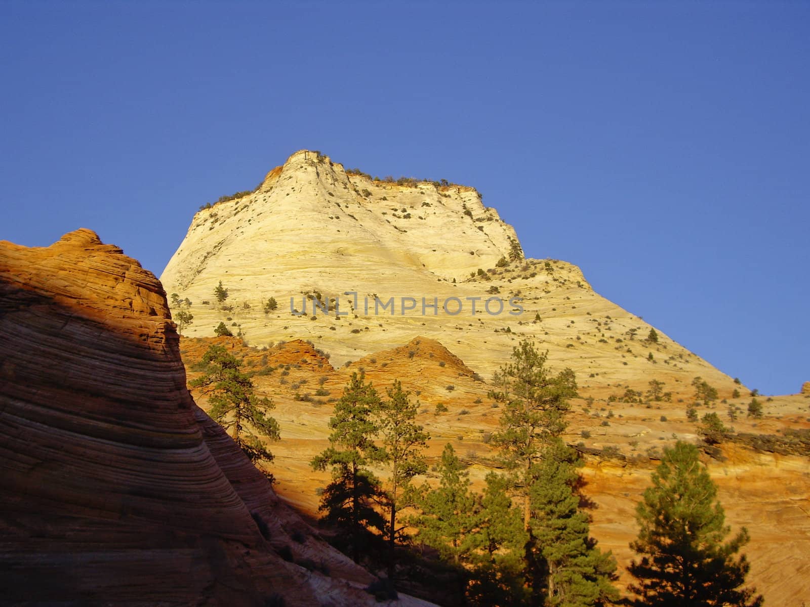 Rock formations in the late sunshine at Zion National Park