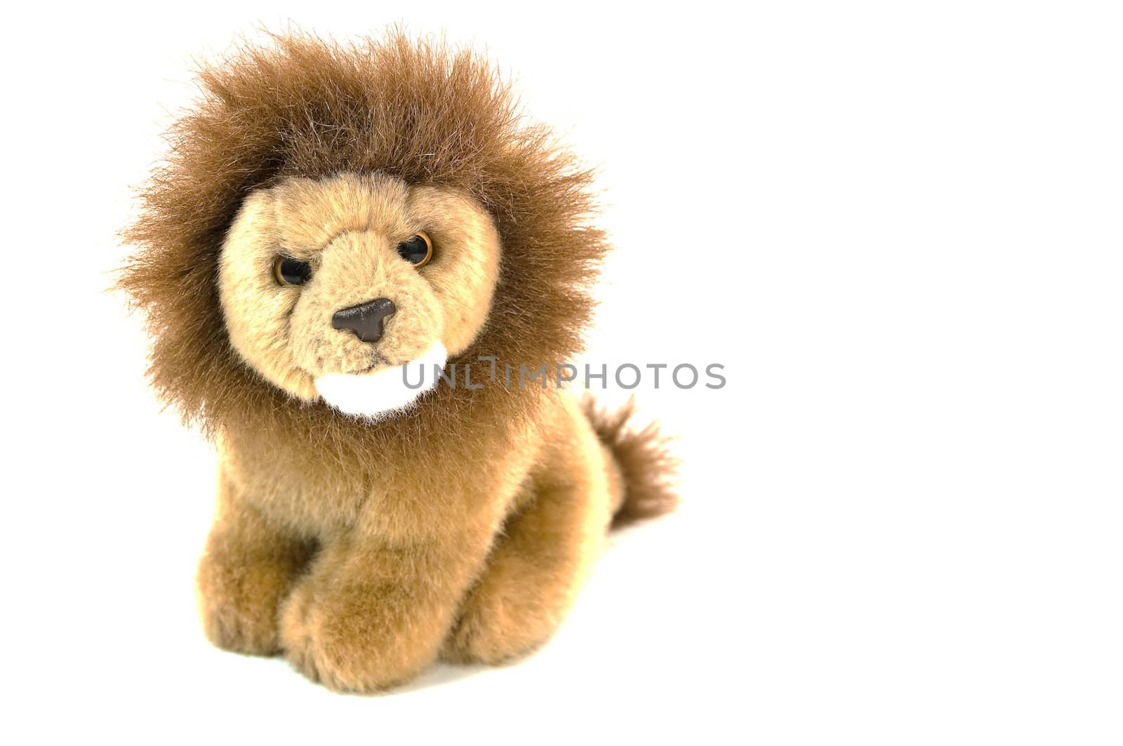 High resolution photo of an isolated plush lion.