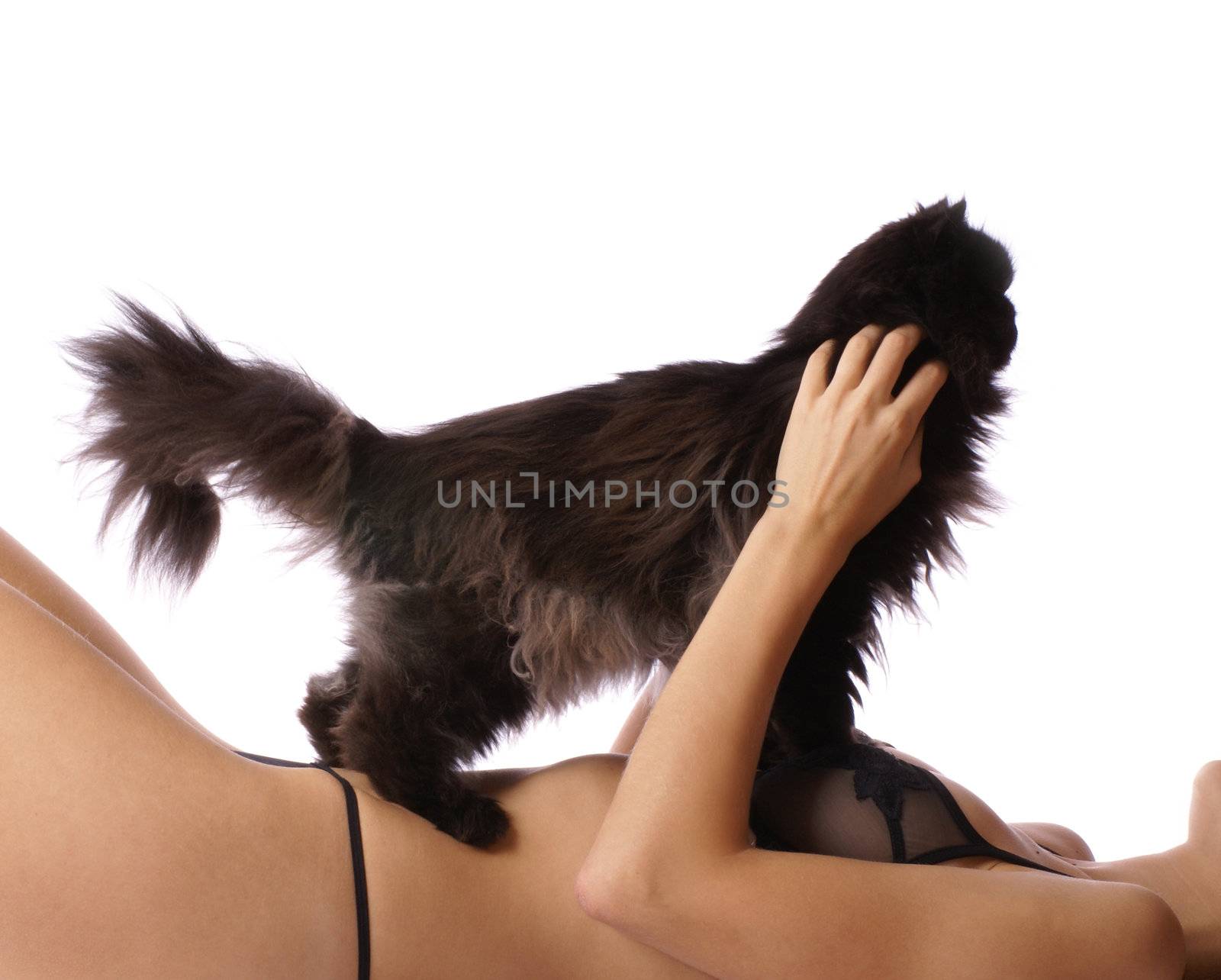 Beautiful woman with a black cat isolated on white