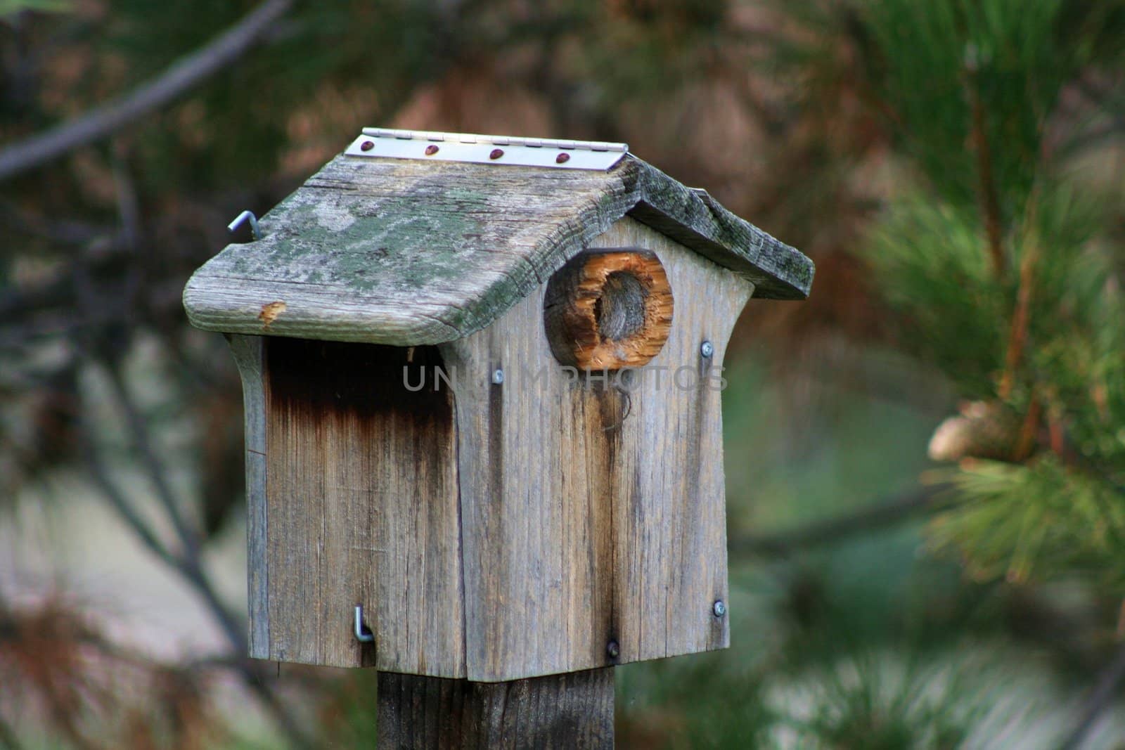 Close up of a bird house in a park.