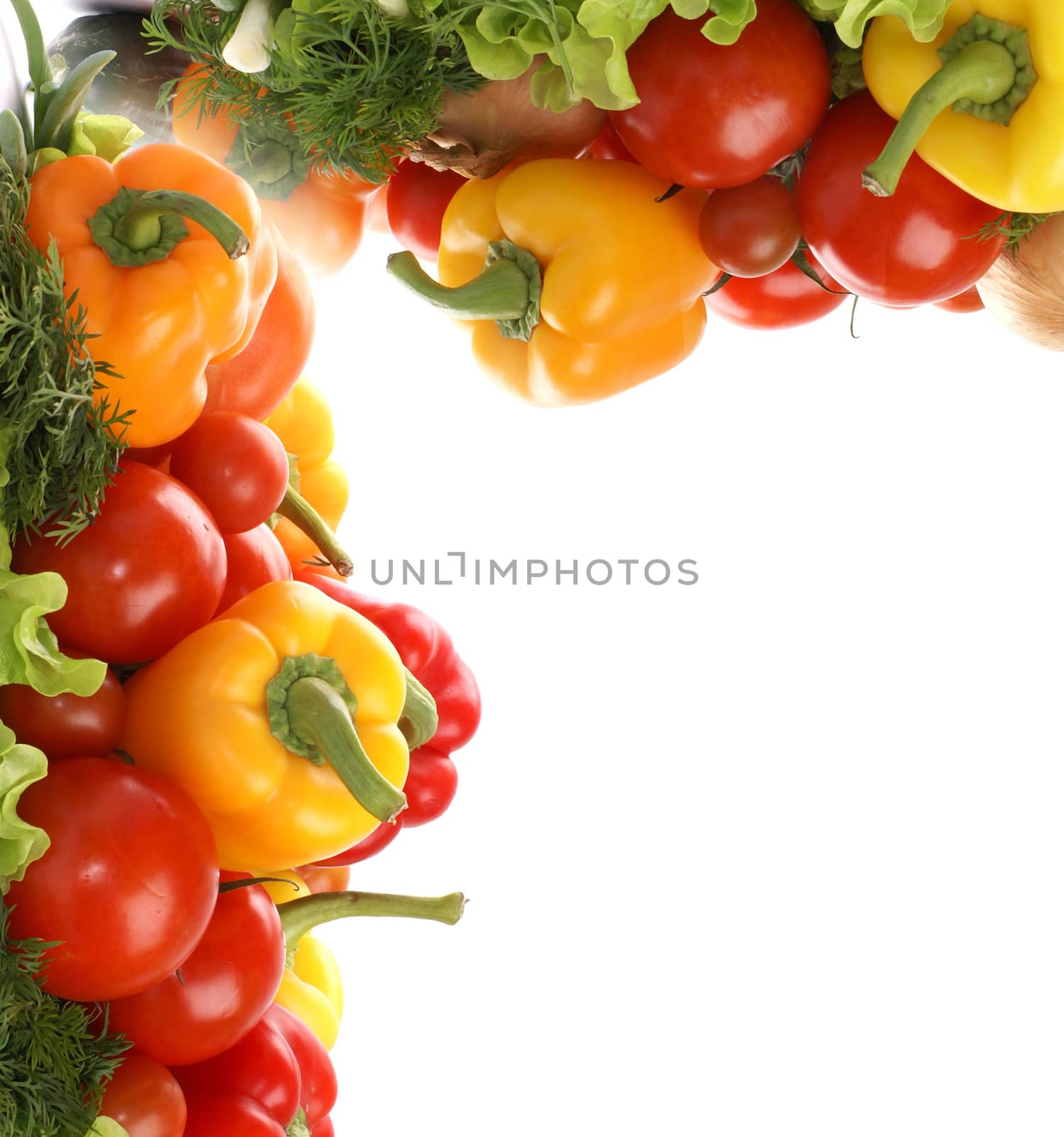 Frame of fresh tasty vegetables isolated on white background             