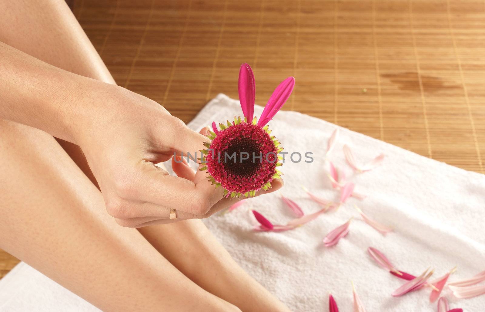Very bstrange flower in a hand over spa background       