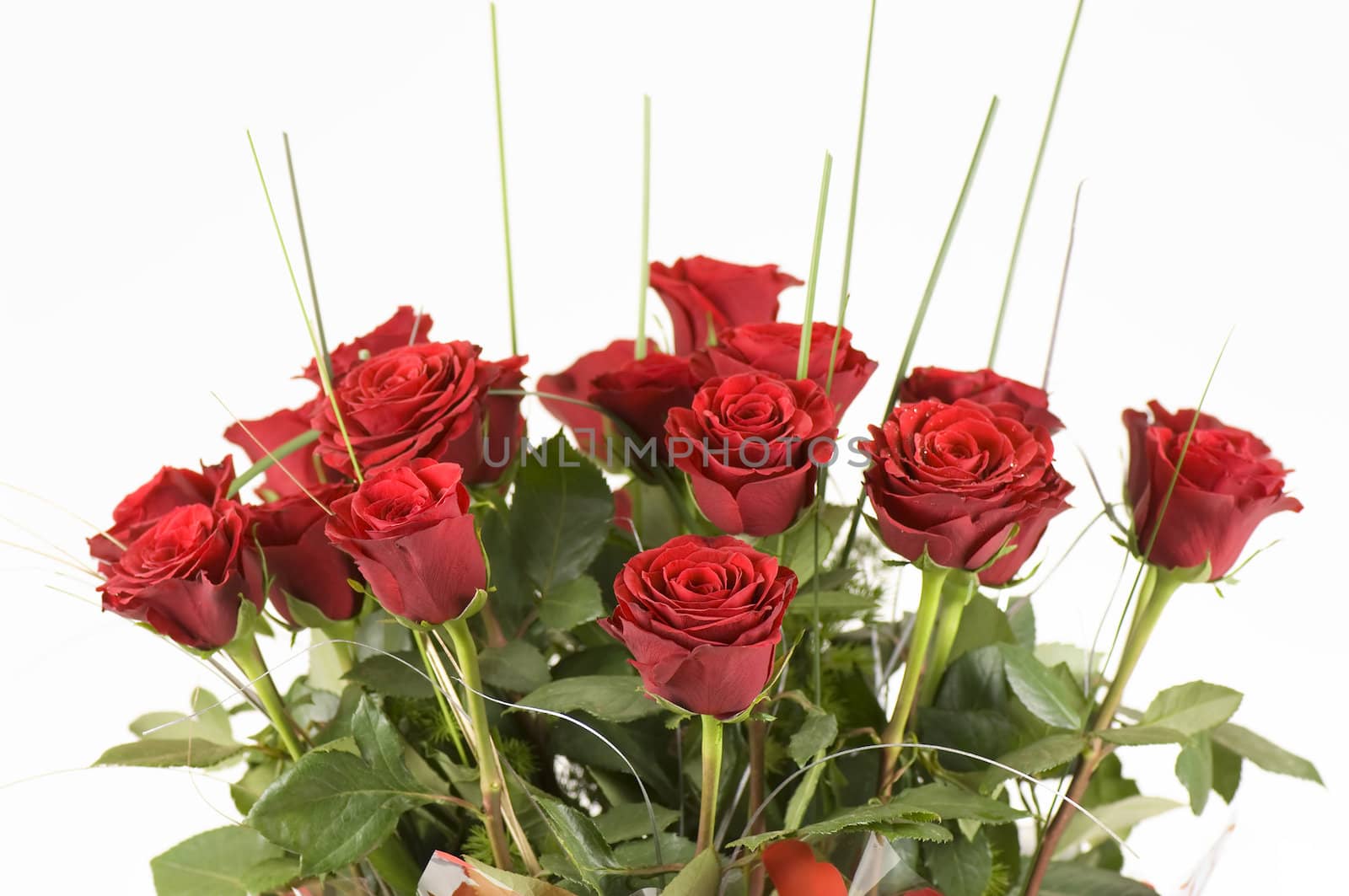 Bouquet of red roses