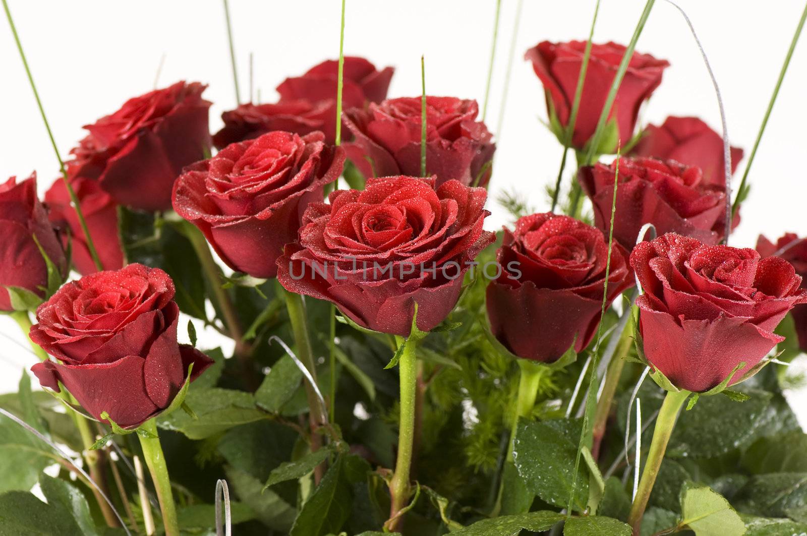 Wet rose bouquet close-up