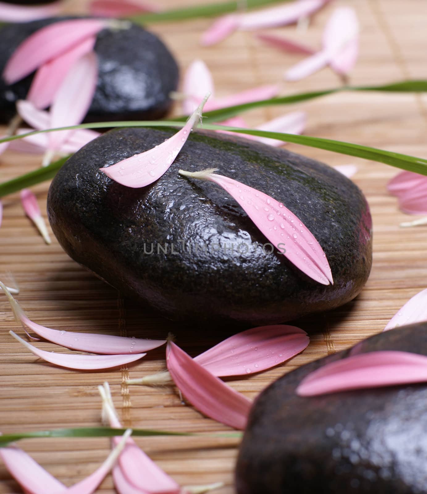 Spa composition of stones and flowers                