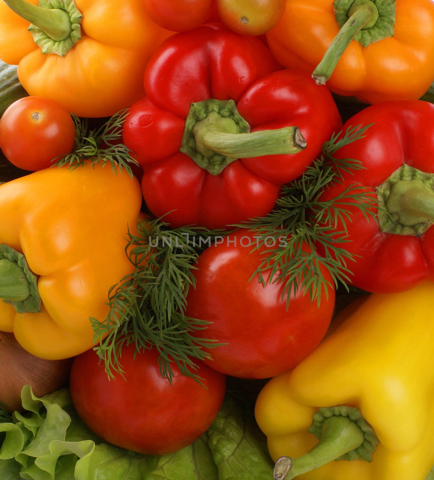 Fresh tasty vegetables by shmeljov