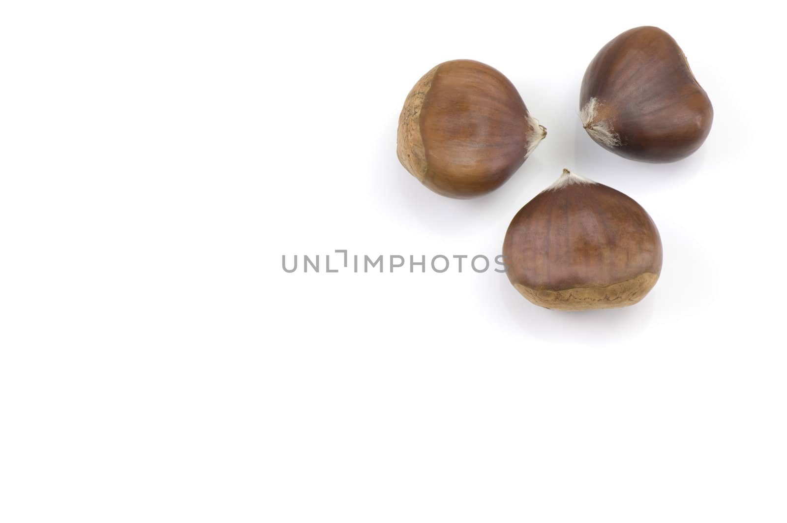 Chestnuts by COPhotography