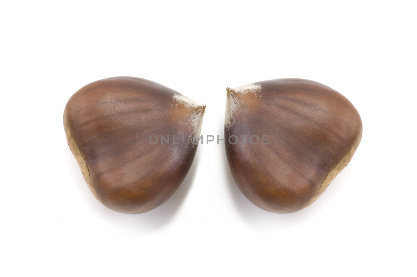 Chestnuts isolated on a white background