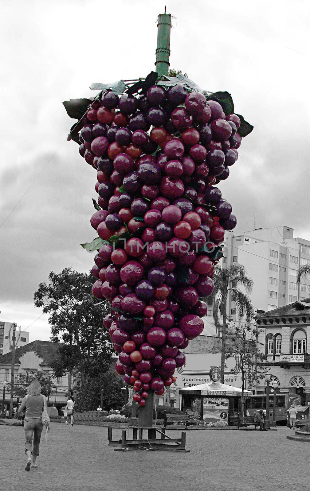 grape festival in Caxias do Sul, Brasil by Dania